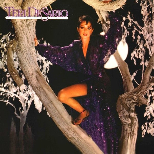 Teri DeSario - Moonlight Madness - Casablanca - NBLP 7178 - LP, Album, 72 2367300853