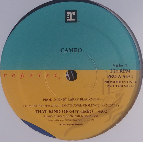 Cameo - That Kind Of Guy - Reprise Records - PRO-A-5431 - 12", Promo 2375138368