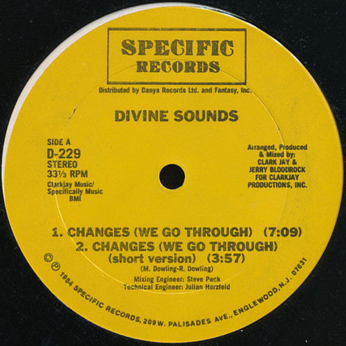 Divine Sounds - Changes / Do Or Die Bed Sty - Specific Records - D-229 - 12" 2492969147