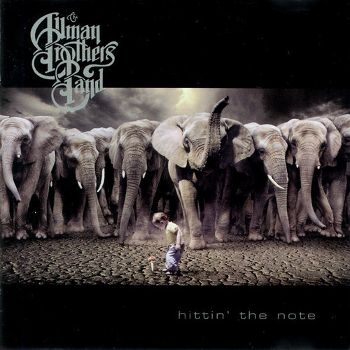 The Allman Brothers Band - Hittin' The Note (CD, Album)