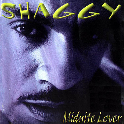 Shaggy - Midnite Lover (CD, Album)