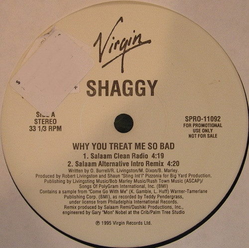 Shaggy - Why You Treat Me So Bad (12", Promo)