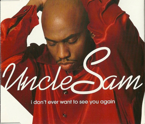 Uncle Sam (4) - I Don't Ever Want To See You Again (CD, Single)_3368533458