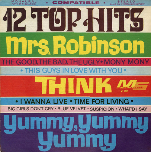 Unknown Artist - 12 Top Hits (LP)