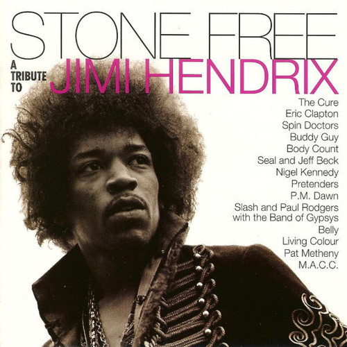 Various - Stone Free (A Tribute To Jimi Hendrix) (CD, Album)