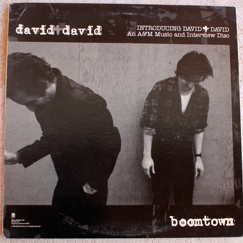 David + David / The Lover Speaks - Introducing  (An A&M Music And Interview Disc) (LP, Promo)
