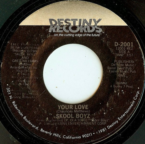 Skool Boyz - Your Love / Can We Do It Again (7", Styrene)