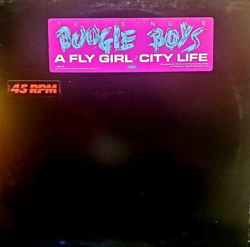 Boogie Boys - A Fly Girl  / City Life (12", Single)