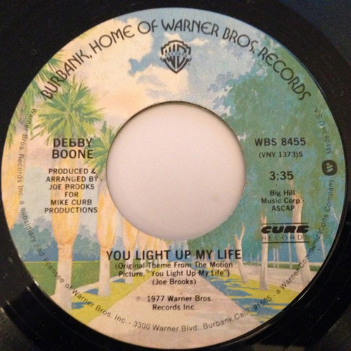 Debby Boone - You Light Up My Life / Hasta Mañana (7", Single, Styrene, Ric)