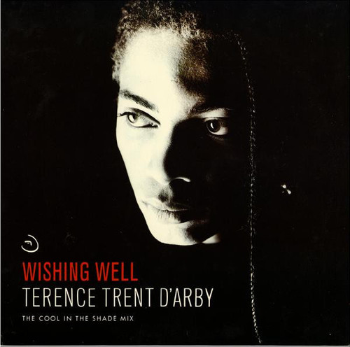Terence Trent D'Arby - Wishing Well (The Cool In The Shade Mix) (12")