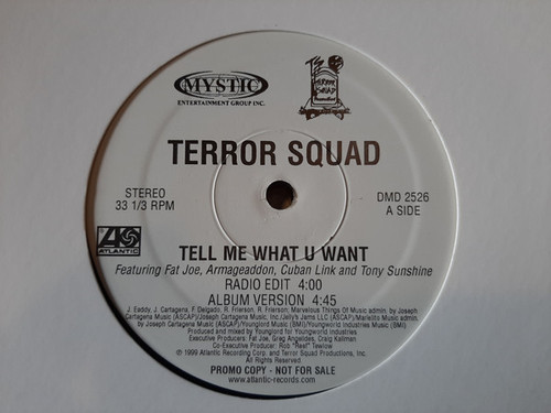 Terror Squad Featuring Fat Joe, Armageaddon*, Cuban Link And Tony Sunshine - Tell Me What U Want (12", Promo)