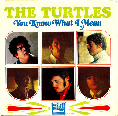 The Turtles - You Know What I Mean / Rugs Of Woods & Flowers (7", Single, Styrene, Ter)