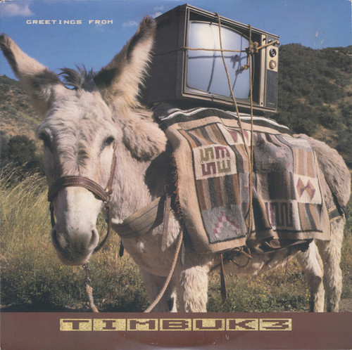 Timbuk 3 - Greetings From Timbuk 3 (LP, Album, Pin)_4240808379
