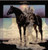 Arthur Gee-Whizz Band - City Cowboy (LP, Album)
