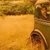 Shawn Phillips (2) - Collaboration - A&M Records - SP-4324 - LP, Album 647078941