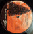 Dan Fogelberg - Phoenix - Full Moon, Epic - FE 35634 - LP, Album, Pit 687270220