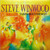 Steve Winwood - Talking Back To The Night (LP, Album, Los)