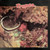 Tropea* - Tropea (LP, Album)