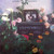 Steppenwolf - Rest In Peace (LP, Comp)