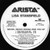 Lisa Stansfield - Never, Never Gonna Give You Up (2x12", Promo)
