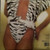 Diana Ross - Why Do Fools Fall In Love - RCA Victor - AFL1-4153 - LP, Album, Gat 861565106
