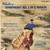 Sibelius* / The Royal Philharmonic Orchestra, Sir Thomas Beecham - Symphony No. 1 In E Minor, Opus 39 (LP, Mono, RE)