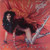 Gregg Diamond, Bionic Boogie - Hot Butterfly (LP, Album, Promo)