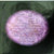 Bee Gees - Children Of The World - RSO, RSO - RS-1-3003, 2394 169 - LP, Album, Pit 914892509