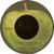 Ringo Starr - It Don't Come Easy - Apple Records - 1831 - 7", Single, Win 1066937351