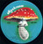 Heart - Magazine - Mushroom Records (5) - MRS-5008 - LP, Album, RE, San 1080785531