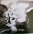 System Of A Down - Mezmerize - American Recordings, Columbia - CK 90648 - CD, Album, Dig 1128288020