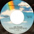 Don Williams (2) - Falling Again - MCA Records - MCA-51065 - 7", Single, Pin 1143331600