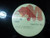 Seiko Matsuda - Good For You - A&M Records - AMPRO 00359 - 12", Promo 1158518153