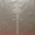 Kenny Rogers - Share Your Love - Liberty, Liberty - LOO-1108, LOO 1108 - LP, Album 1250752587