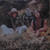 The Incredible String Band - Wee Tam (LP, Album, SRP)
