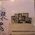 Shaun Cassidy - Born Late - Warner Bros. Records, Curb Records - BSK 3126 - LP, Album, Win 1658731717