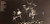 Ted Nugent - Cat Scratch Fever - Epic, Epic - JE 34700, 34700 - LP, Album, Gat 1777013536