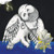 Songs: Ohia - The Magnolia Electric Co  (2xLP, Album, Dlx, RE)