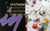 Prince And The Revolution - Purple Rain - Warner Bros. Records, Warner Bros. Records, Warner Bros. Records - 25110-1, 1-25110, 9 25110-1 - LP, Album, All 1904679089
