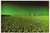 Pink Floyd - The Dark Side Of The Moon - Harvest - SMAS-11163 - LP, Album, RE, Win 1941225182