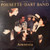 Pousette-Dart Band - Amnesia (LP, Album, RE)