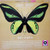 Bee Gees - Rare, Precious & Beautiful - ATCO Records - SD 33-264 - LP, Album, Comp, RE, Ele 2020090946