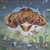 Commodores - Greatest Hits (LP, Comp, Sup)