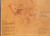 Shawn Phillips (2) - Faces - A&M Records - SP 4363 - LP, Album 2084950349