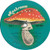 Chilliwack - Dreams, Dreams, Dreams - Mushroom Records (5), Mushroom Records (5) - MRS 5006, MRS-5006 - LP, Album, San 2268907747