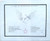 Paul Kantner / Jefferson Starship - Blows Against The Empire - RCA Victor - LSP-4448 - LP, Album, Roc 2260572775