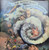 The Moody Blues - A Question Of Balance - Threshold (5) - THS 3 - LP, Album, K - 2503087040