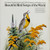 No Artist - Beautiful Bird Songs Of The World - National Audubon Society - NAS 1000 - 2xLP, Gat 2479038350