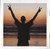 Fatboy Slim - Halfway Between The Gutter And The Stars (CD, Album)