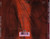 Robert Palmer - Don't Explain (CD, Album)